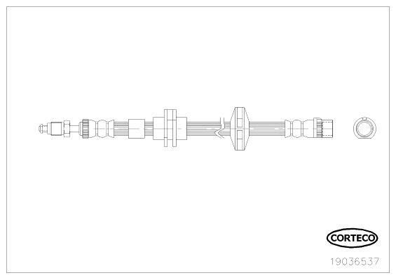 19036537 Шланг тормозной передн лев RENAULT LAGUNA III (BT01) 1.5 dCi (BT00, BT0A, BT0T, BT1J)1.6 16V (BT04, BT0D, BT0U)2.0 16V (BT05, BT0F, BT0W)2.0