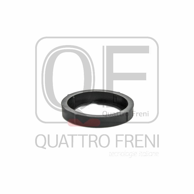 QF53A00008 Кольцо уплотнительное свечного колодца